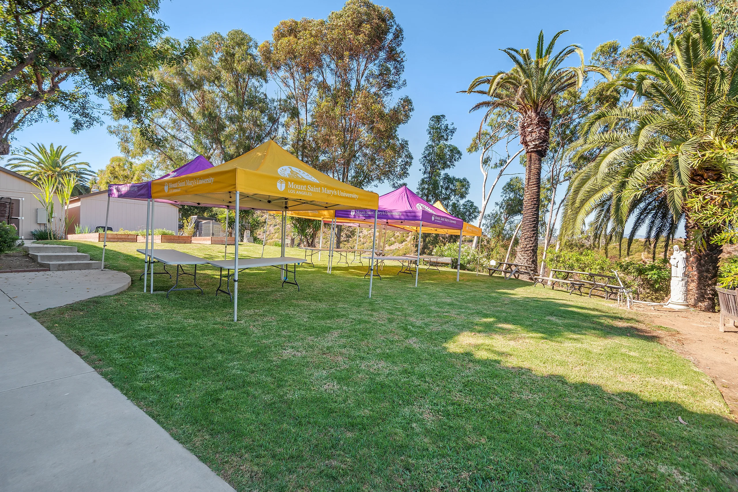 Event canopies set up on the Rossiter Hall lawn at Chalon Campus